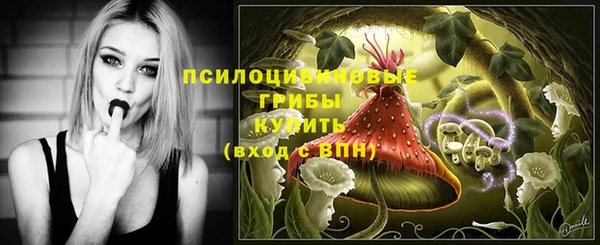 каннабис Арсеньев